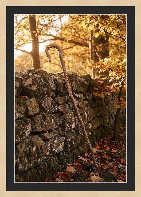 Old Wooden Shepherds Crook