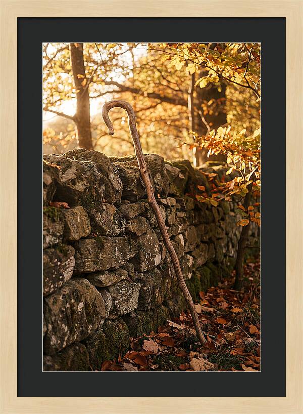 Old Wooden Shepherds Crook