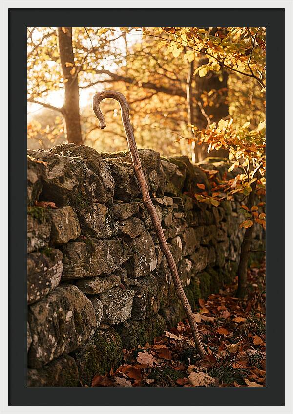 Old Wooden Shepherds Crook
