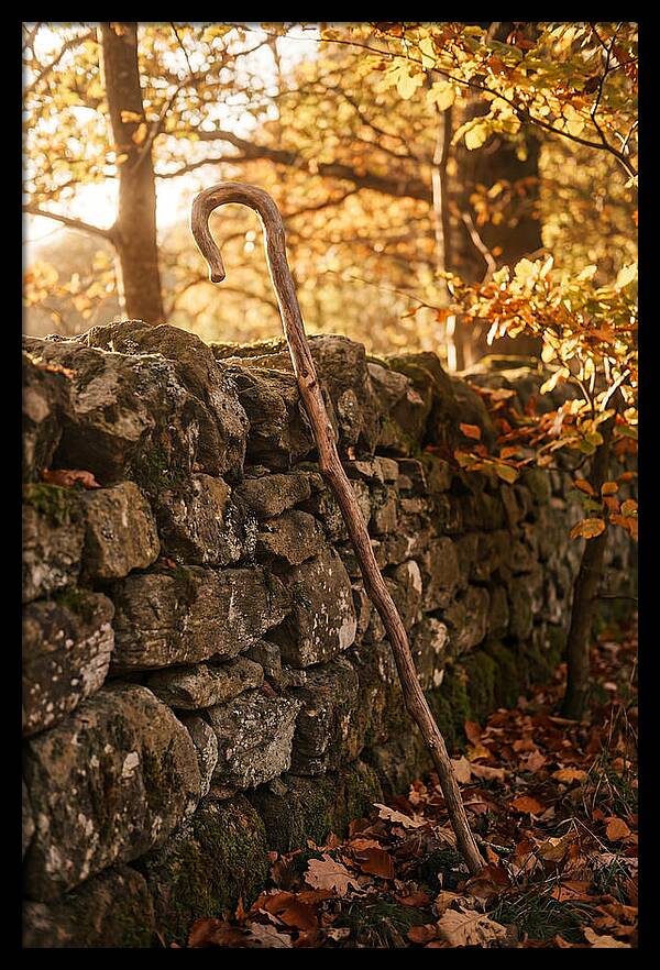 Old Wooden Shepherds Crook