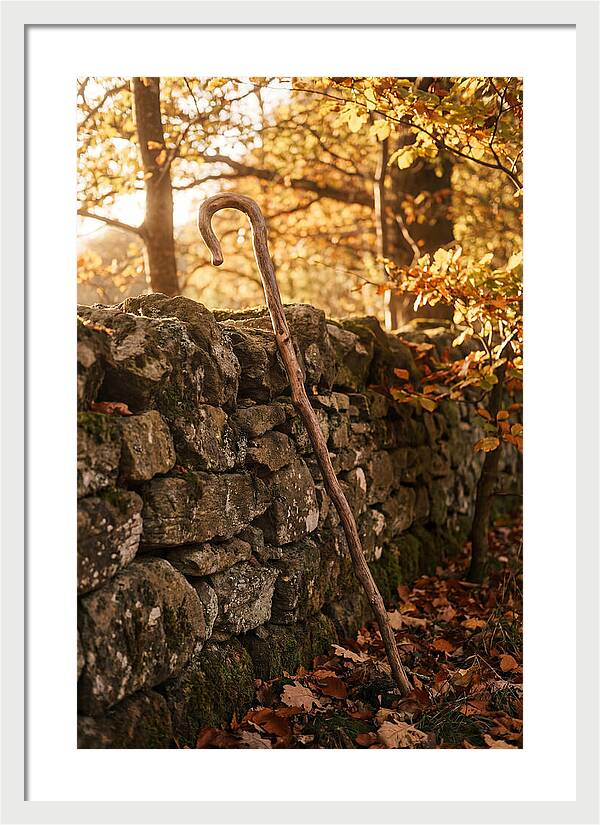 Old Wooden Shepherds Crook