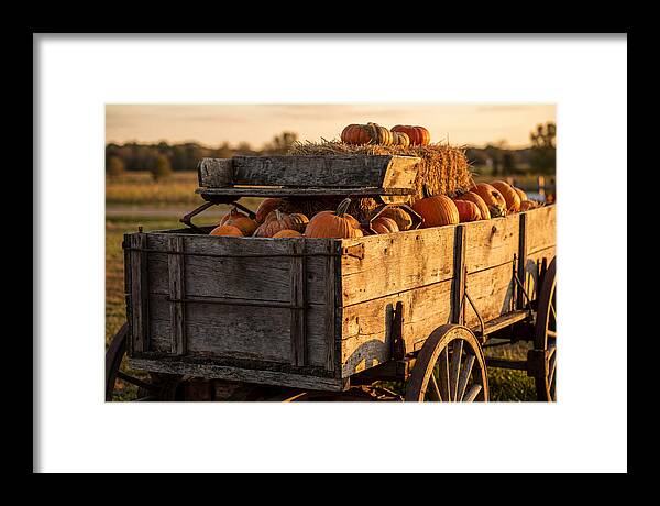 Old Wooden Wagon Loaded With Pumpkins