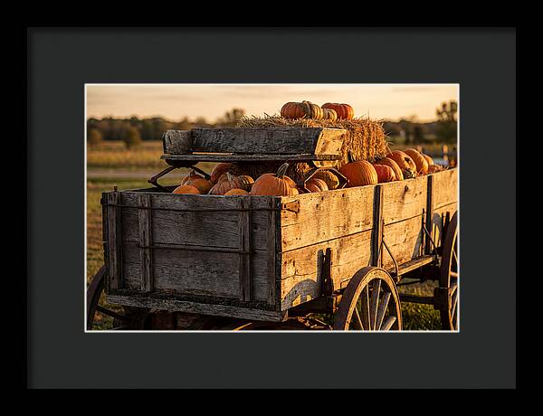 Old Wooden Wagon Loaded With Pumpkins