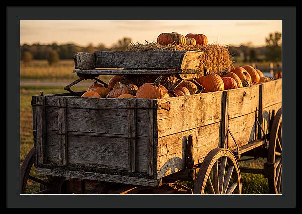 Old Wooden Wagon Loaded With Pumpkins