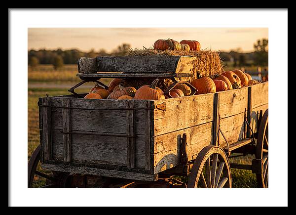 Old Wooden Wagon Loaded With Pumpkins