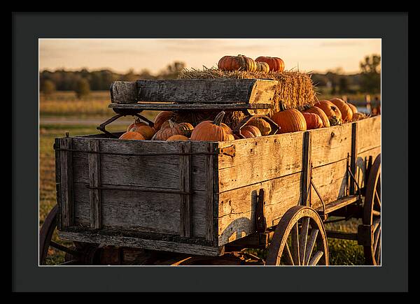Old Wooden Wagon Loaded With Pumpkins
