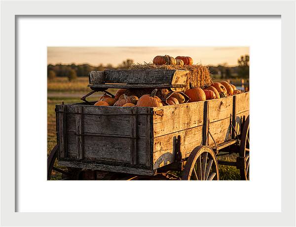 Old Wooden Wagon Loaded With Pumpkins