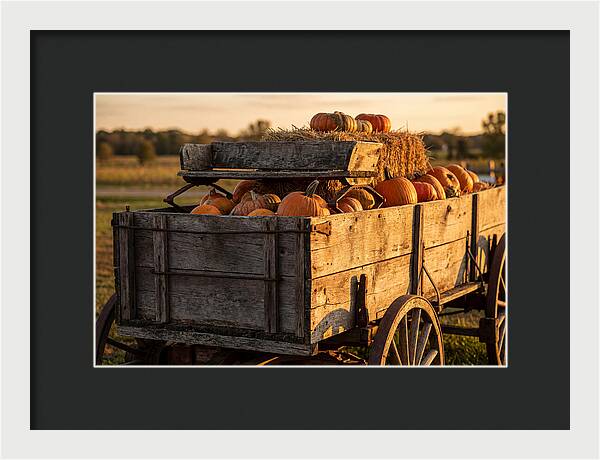 Old Wooden Wagon Loaded With Pumpkins