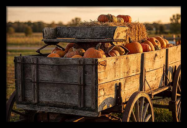 Old Wooden Wagon Loaded With Pumpkins