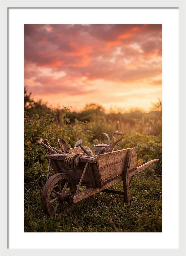 Old Wooden Wheelbarrow At Sunset