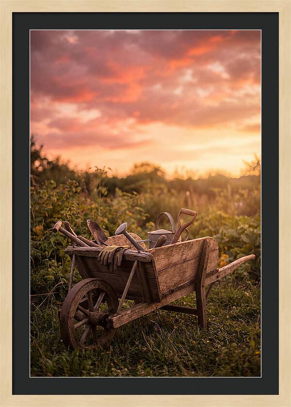 Old Wooden Wheelbarrow At Sunset