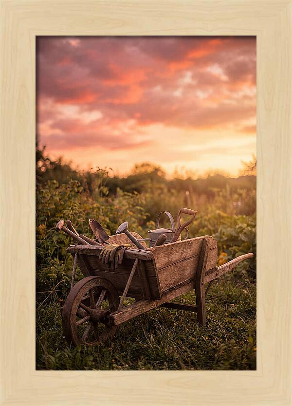 Old Wooden Wheelbarrow At Sunset