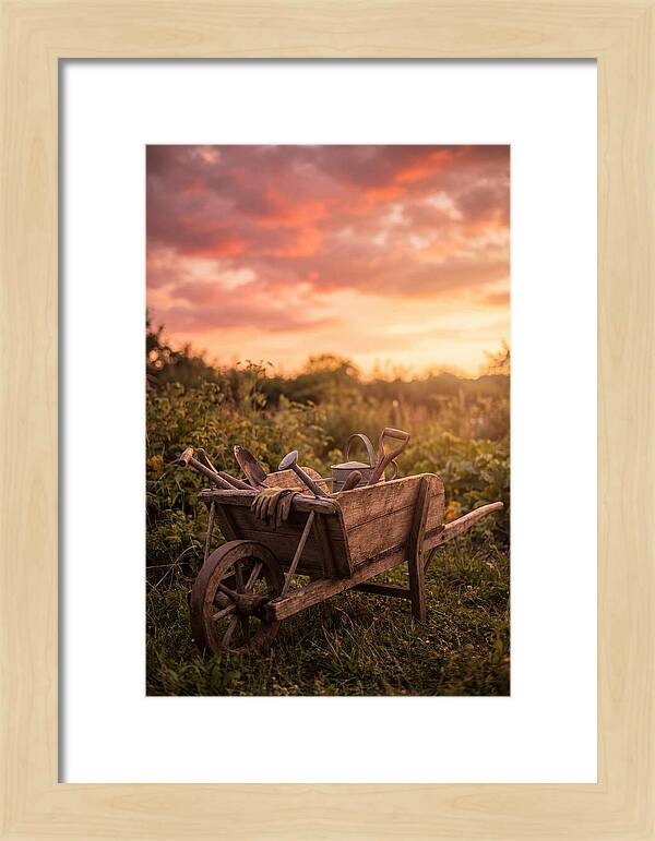 Old Wooden Wheelbarrow At Sunset