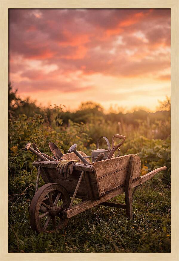 Old Wooden Wheelbarrow At Sunset