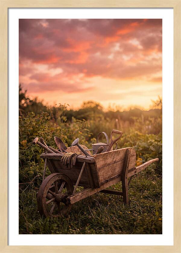 Old Wooden Wheelbarrow At Sunset