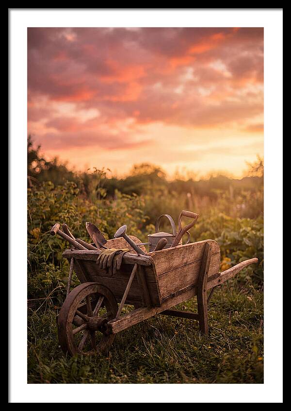 Old Wooden Wheelbarrow At Sunset