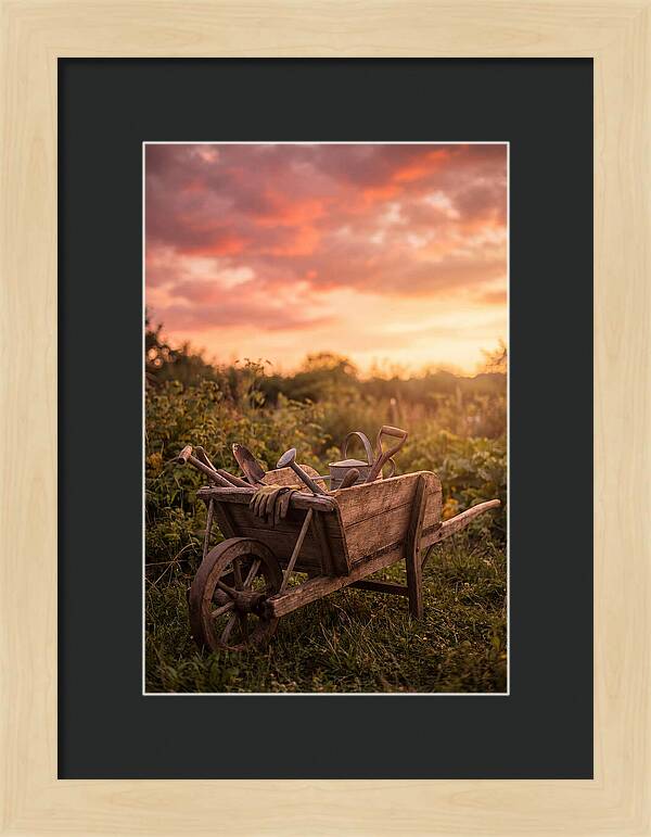 Old Wooden Wheelbarrow At Sunset