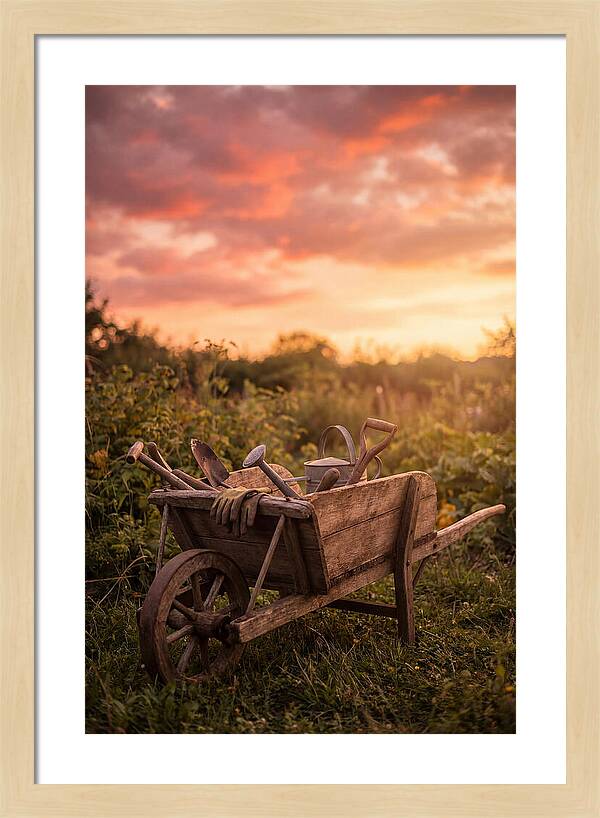 Old Wooden Wheelbarrow At Sunset