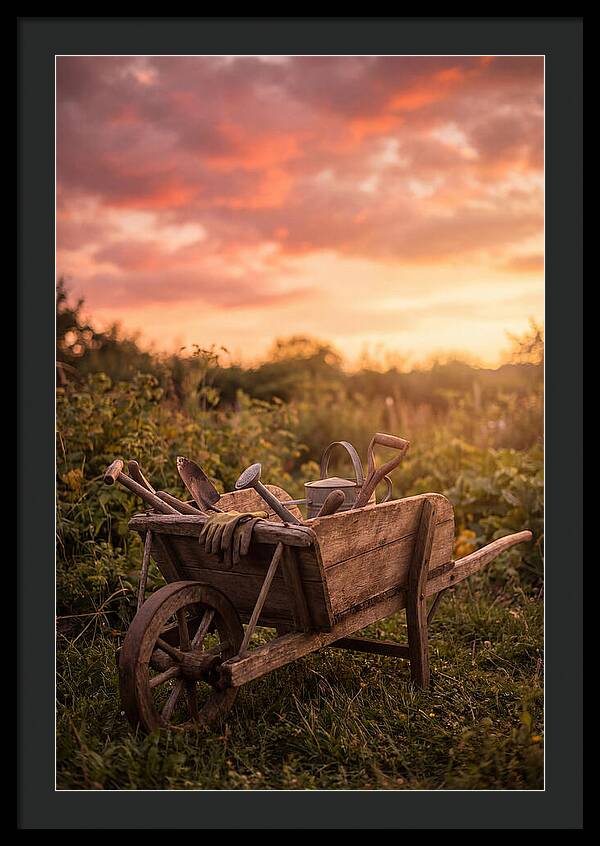 Old Wooden Wheelbarrow At Sunset