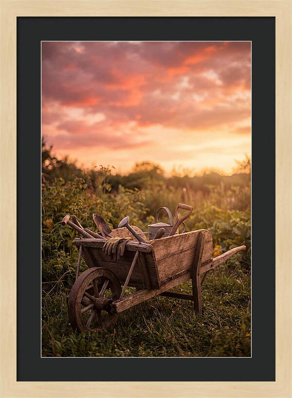 Old Wooden Wheelbarrow At Sunset