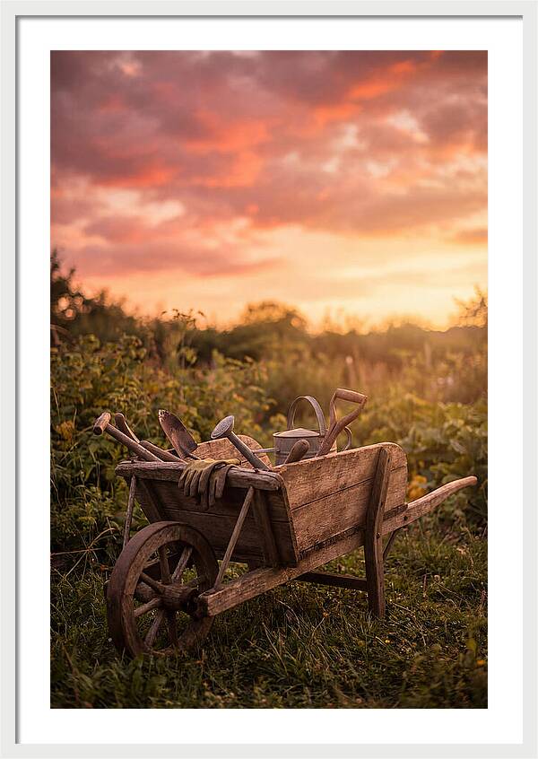 Old Wooden Wheelbarrow At Sunset