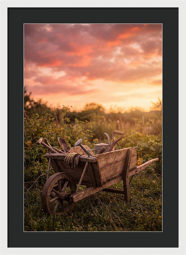 Old Wooden Wheelbarrow At Sunset