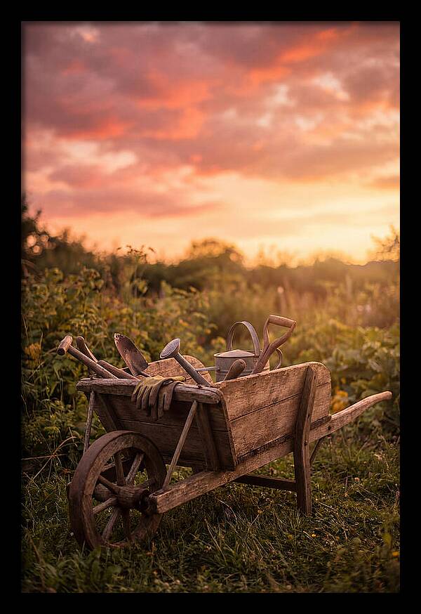 Old Wooden Wheelbarrow At Sunset