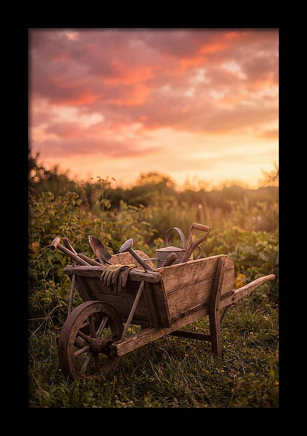 Old Wooden Wheelbarrow At Sunset