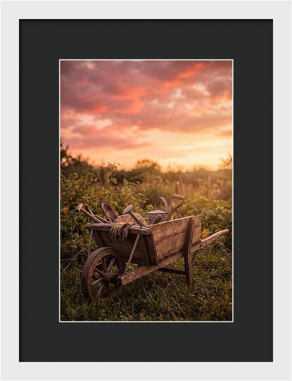 Old Wooden Wheelbarrow At Sunset