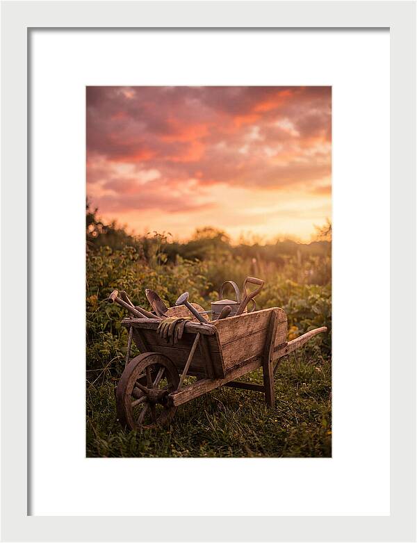 Old Wooden Wheelbarrow At Sunset
