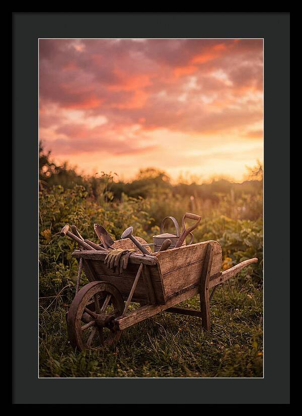 Old Wooden Wheelbarrow At Sunset