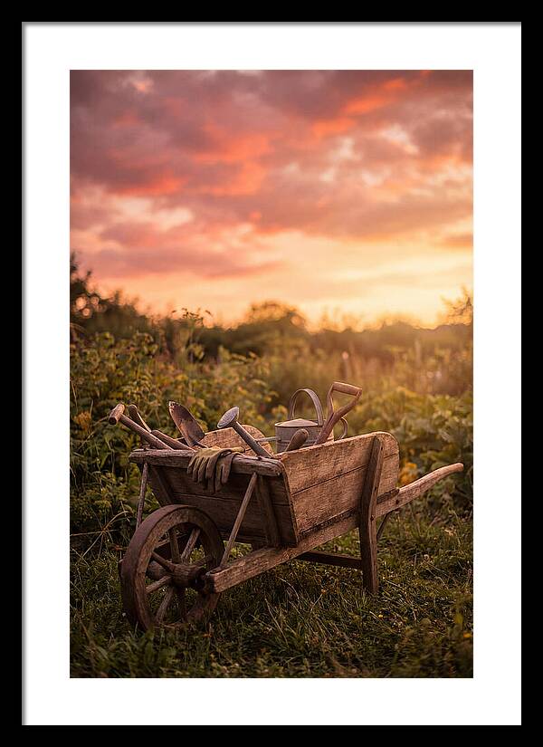 Old Wooden Wheelbarrow At Sunset