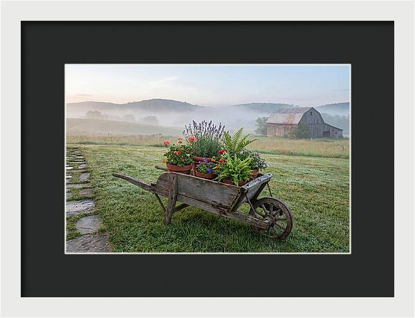 Old Wooden Wheelbarrow With Flowers