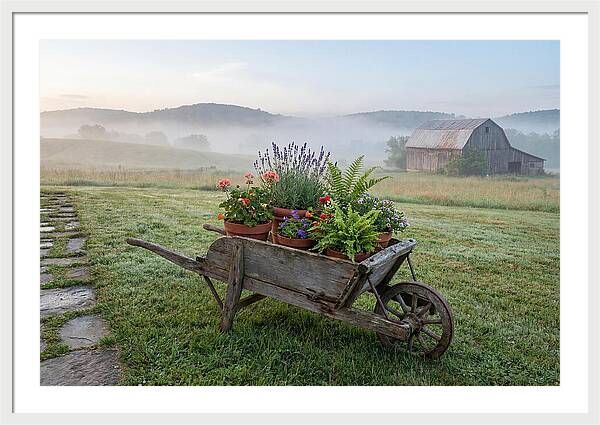 Old Wooden Wheelbarrow With Flowers