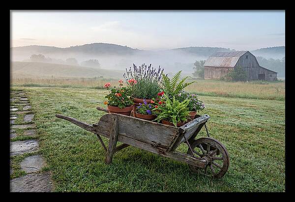 Old Wooden Wheelbarrow With Flowers