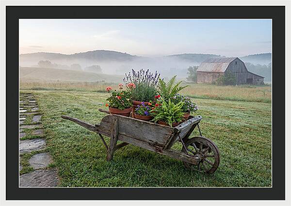 Old Wooden Wheelbarrow With Flowers