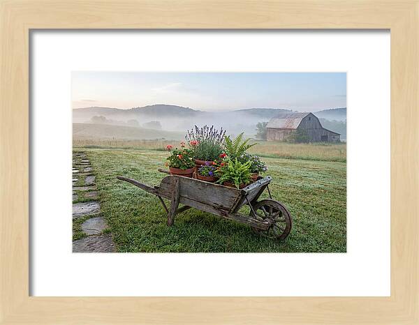 Old Wooden Wheelbarrow With Flowers