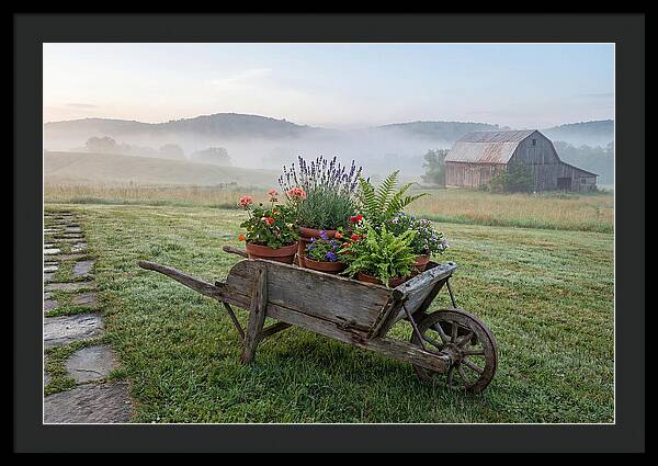 Old Wooden Wheelbarrow With Flowers