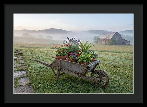 Old Wooden Wheelbarrow With Flowers