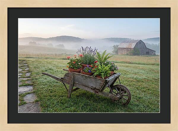 Old Wooden Wheelbarrow With Flowers