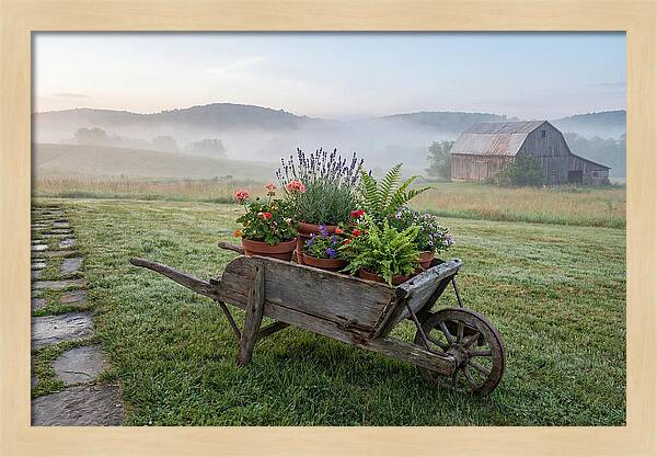 Old Wooden Wheelbarrow With Flowers