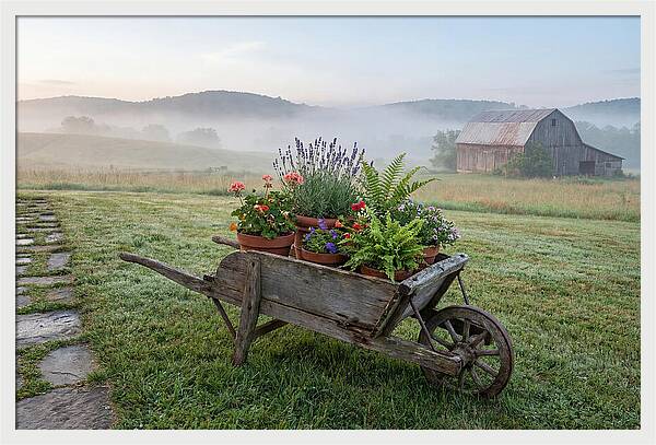 Old Wooden Wheelbarrow With Flowers