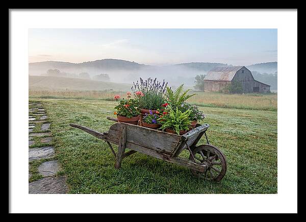 Old Wooden Wheelbarrow With Flowers