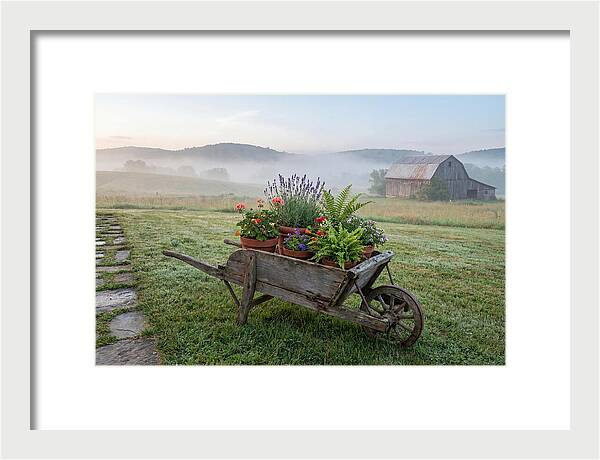 Old Wooden Wheelbarrow With Flowers