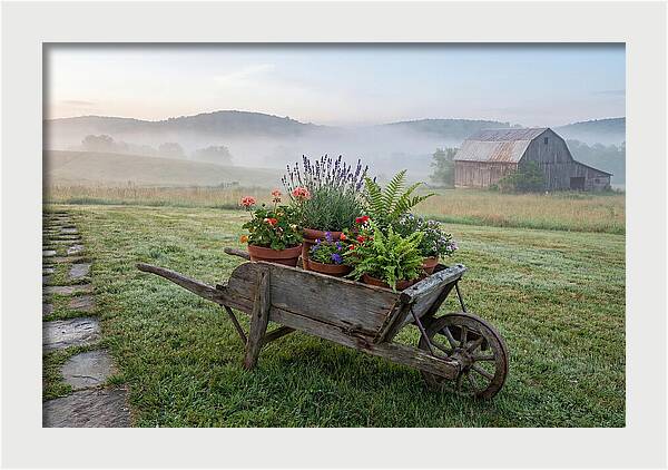 Old Wooden Wheelbarrow With Flowers