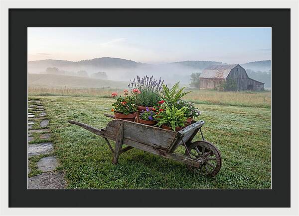 Old Wooden Wheelbarrow With Flowers