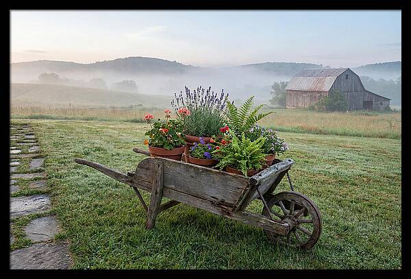 Old Wooden Wheelbarrow With Flowers