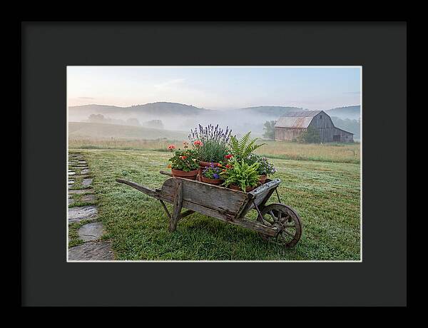 Old Wooden Wheelbarrow With Flowers