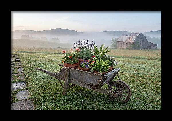 Old Wooden Wheelbarrow With Flowers