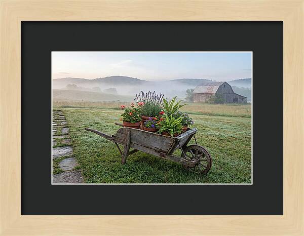 Old Wooden Wheelbarrow With Flowers